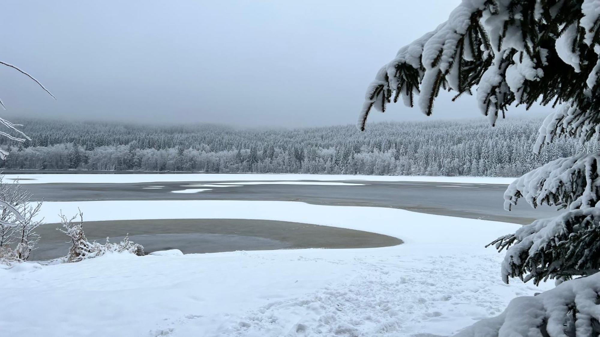 Hauslipno Bungalov Na Lipne Lipno nad Vltavou Exteriör bild